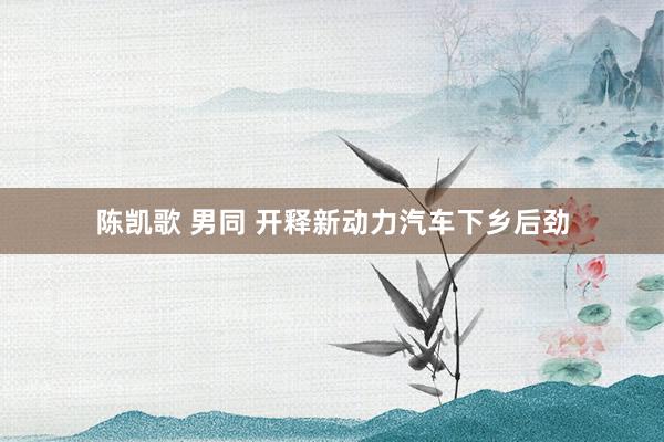 陈凯歌 男同 开释新动力汽车下乡后劲