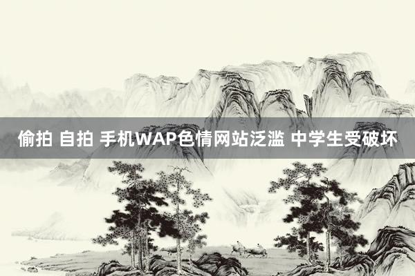 偷拍 自拍 手机WAP色情网站泛滥 中学生受破坏