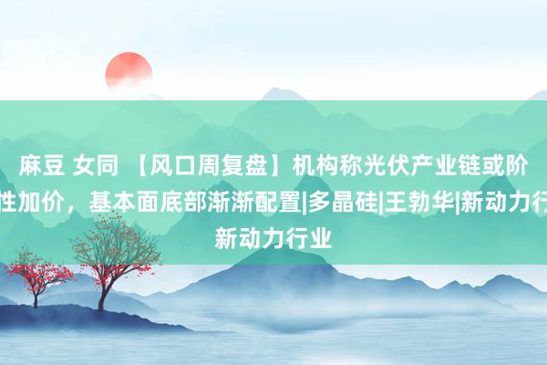 麻豆 女同 【风口周复盘】机构称光伏产业链或阶段性加价，基本面底部渐渐配置|多晶硅|王勃华|新动力行业