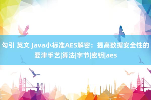勾引 英文 Java小标准AES解密：提高数据安全性的要津手艺|算法|字节|密钥|aes