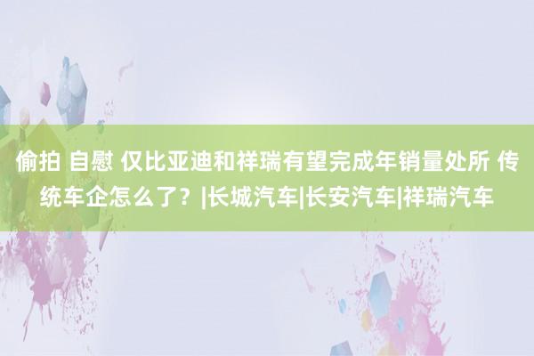 偷拍 自慰 仅比亚迪和祥瑞有望完成年销量处所 传统车企怎么了？|长城汽车|长安汽车|祥瑞汽车
