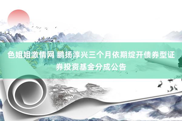 色姐姐激情网 鹏扬淳兴三个月依期绽开债券型证券投资基金分成公告