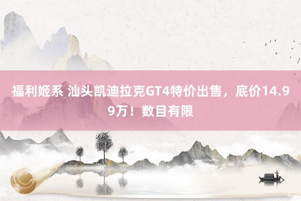 福利姬系 汕头凯迪拉克GT4特价出售，底价14.99万！数目有限