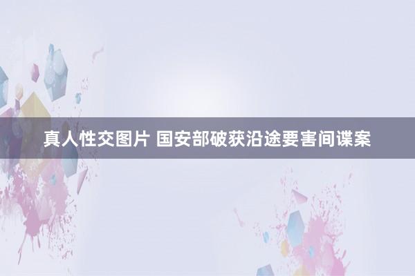 真人性交图片 国安部破获沿途要害间谍案