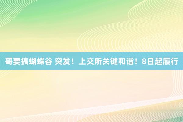 哥要搞蝴蝶谷 突发！上交所关键和谐！8日起履行