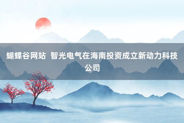 蝴蝶谷网站  智光电气在海南投资成立新动力科技公司