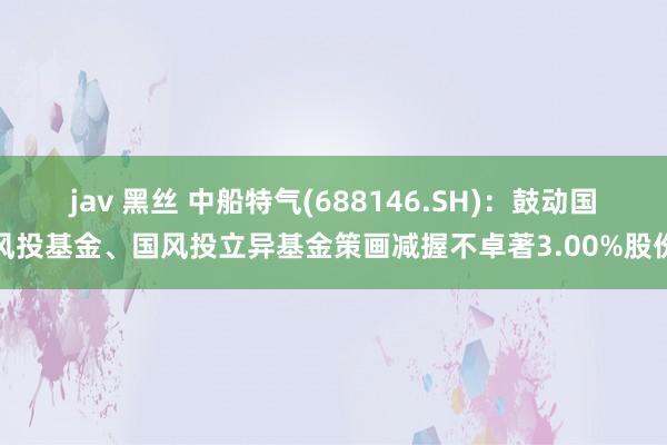jav 黑丝 中船特气(688146.SH)：鼓动国风投基金、国风投立异基金策画减握不卓著3.00%股份